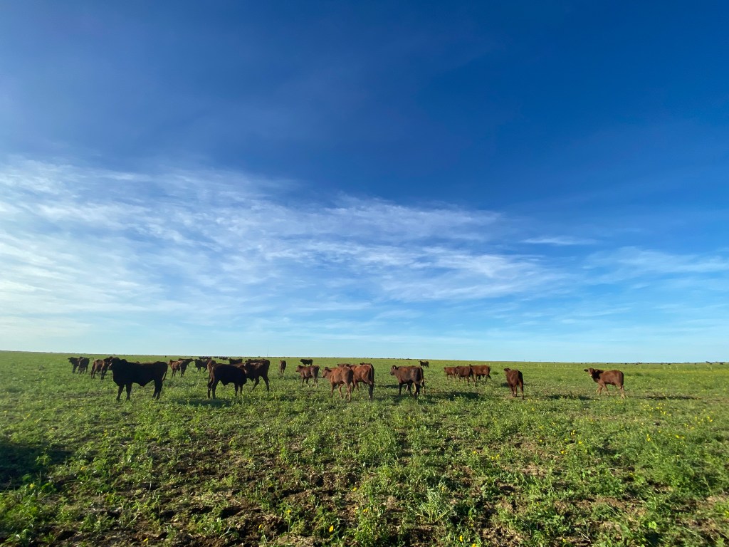 WHV Outback Experience&nbsp;(QLD)