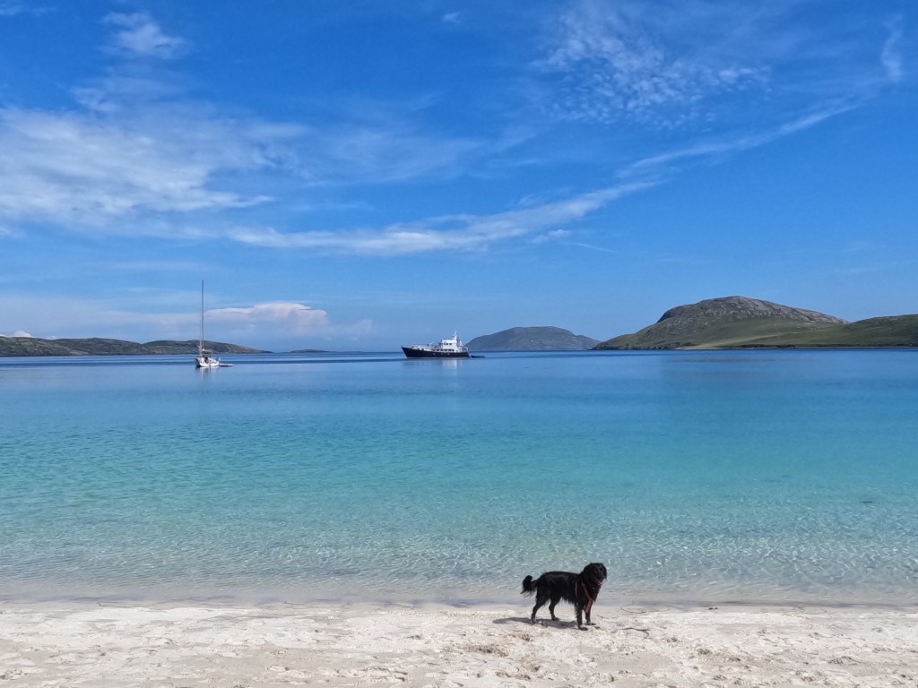 Summer 2023- Where are we&nbsp;now?