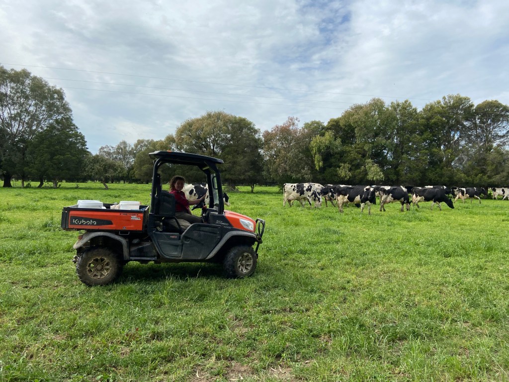 WHV Dairy Farming Experience- Kerang&nbsp;(VIC)