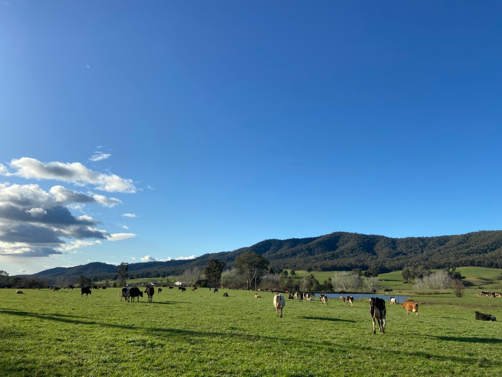 Things to do in King Valley&nbsp;(VIC)